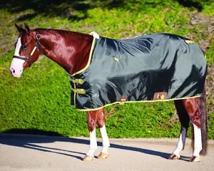 Professionals Choice Nylon Day Sheet