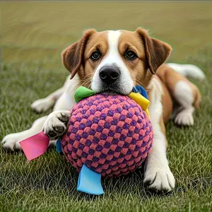 Heavy-duty chew-resistant dog ball with a bell, interactive tug, Interactive tough chewer, soft training ball, suitable for aggressive chewers, indoor/outdoor fetch, durable polyester puppy teething toy, for mental stimulation and exercise, design