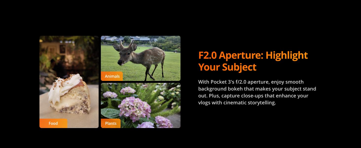 DJI Osmo Pocket 3 Creator Combo, 1'' CMOS, 4K Resolution/120fps Vlog Camera, 3-Axis Stabilization, Face/Object Tracking, Mic Included for Clear Sound, Digital Camera for YouTube