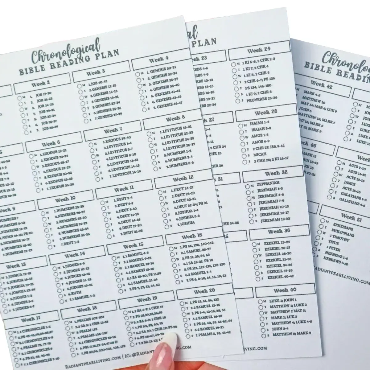 Chronological Bible Reading Plan Matte Vinyl Checklist Sticker for Full Year Bible Plan - Printable