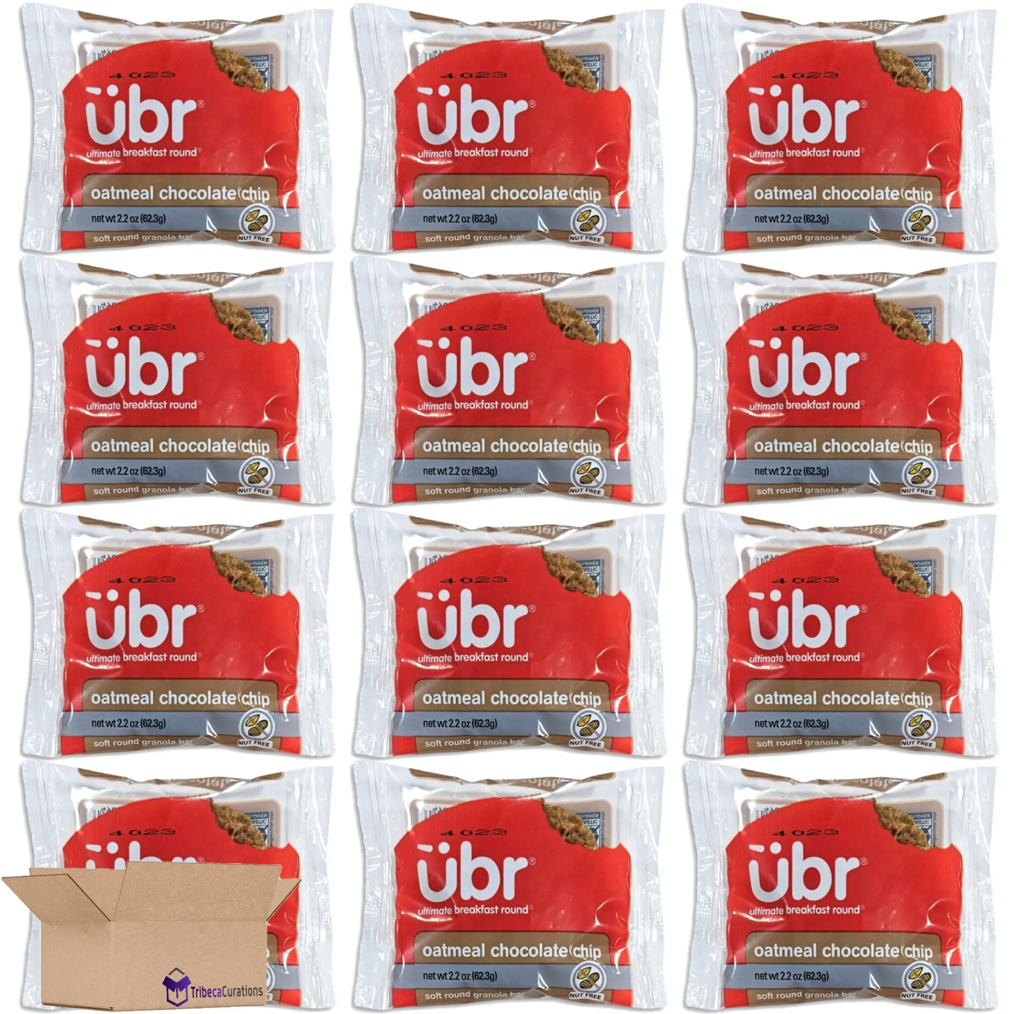 Rich's  Indiviudally Wrapped Oatmeal Chocolate Chip Granola Bar Value Pack | 2.2 Ounce | Pack of 12