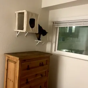 [dealsforyoudays] 5-Piece Wall Mounted Cat Climbing Set – Soft House, Cat Scratching Board, Cat Tree, Cat Hammock &  Cat Juamping Platform[ChristmasGift]