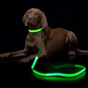Led Adjustable Light up Dog Leash