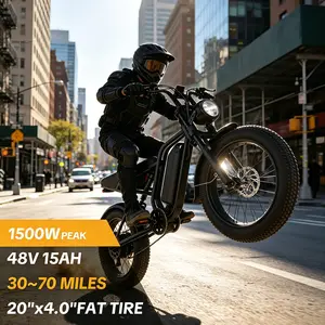 【Hieha】 Next-Gen Electric Bike, 20" Fat Tire E-Bike with 1500W Peak Motor, 48V Removable Battery, 7-Speed, Dual Suspension & Smart LCD Display