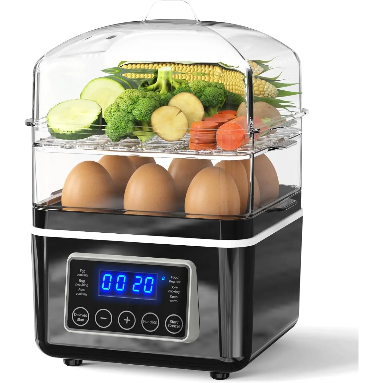 2 Tiers Electric  Steamer for Cooking, 4 QT Digital Multi Vegetable Steamer with  Stackable Baskets, Rapid Egg Cooker Egg Steamer with Auto Shut-Off, Ideal for Veggies, Seafood, Rice
