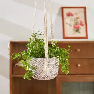 Zephyr Hanging Planter with Macrame Plant Hanger