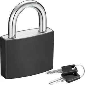 Lock Keyed Padlock, 1 Pack Aluminum Locks with 2 Keys Alike, 7/8 Inch Locker Lock 43mm Small Padlocks for Gate, Fence, Shed, Toolbox, School Gym Locker