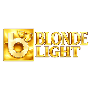 BLONDELIGHT LLC