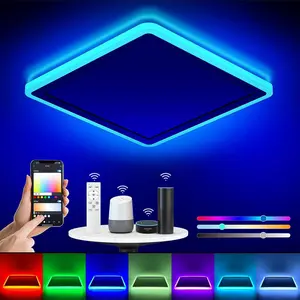 Smart LED Ceiling Light WiFi RGB Flush Mount Fixture with Remote Compatible with Alexa and Google Home Low Profile Color Changing Ceiling Light for Bedroom Kitchen and Modern Home Decor