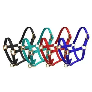 Foal/Mini Size Premium nylon halter with brass hardware.