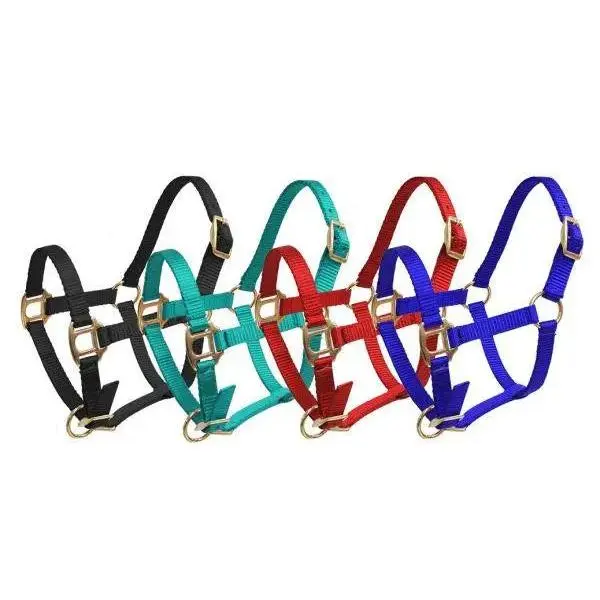 Foal/Mini Size Premium nylon halter with brass hardware.