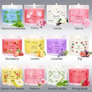 12-Piece Home Scented Candles Set 2.5-Ounce Wax Core Unique Scents Like Vanilla Perfect for Gifts Family Friends Autumn Decorations Christmas Halloween Aroma candles candle warmer lamp