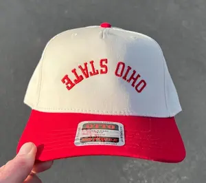 Ohio State Baseball Hat