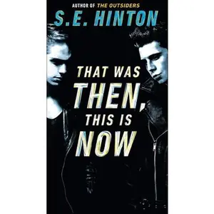 USED-That Was Then, This is Now by Hinton, S. E. (Library Binding)