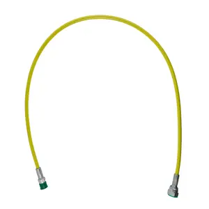 Paint Life Swiss Whip