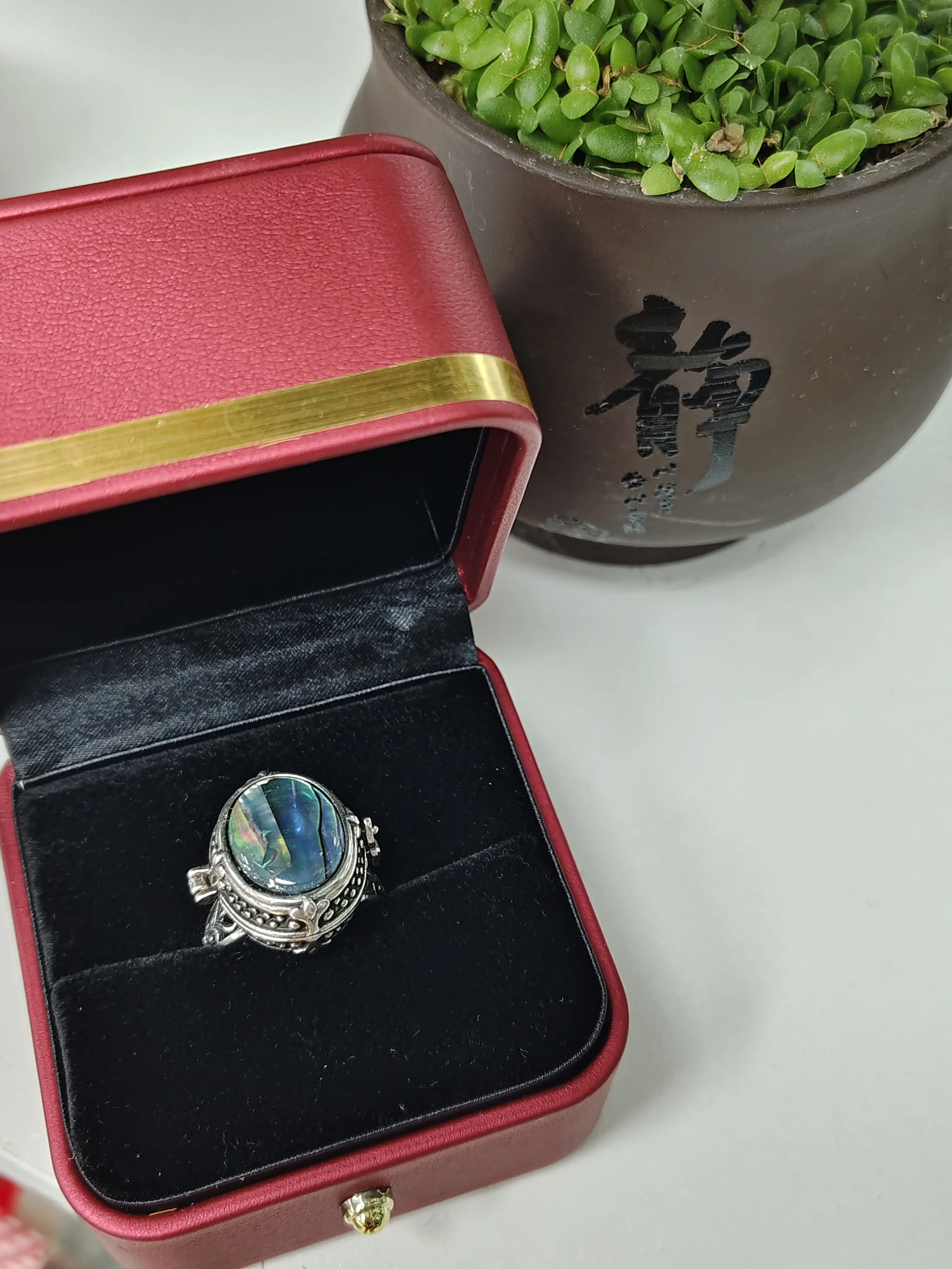Lia(14775)gc.Vintage Antiqued Silver Abalone Shell Poison Locket Ring