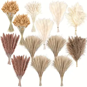 300pcs Dried Pampas Grass Decor, Dried Flower Bouquets For Wedding, Home, Centerpiece Table, Modern Home, Western Living Room, Nurserie, Nursery, Boho Room, Beach, Women Office, And Boho Decor