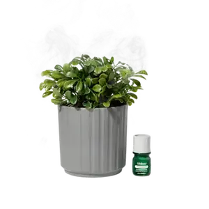 Lifelines Plant Diffuser | Boxwood Plant Ribbed Gray Rechargeable Essential Oil Diffuser