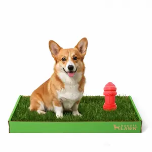 Disposable DoggieLawn Real Grass Dog Potty Patch With Small Fire Hydrant- Odor Neutralizing, Eco-Friendly and Affordable for Easy Potty Training