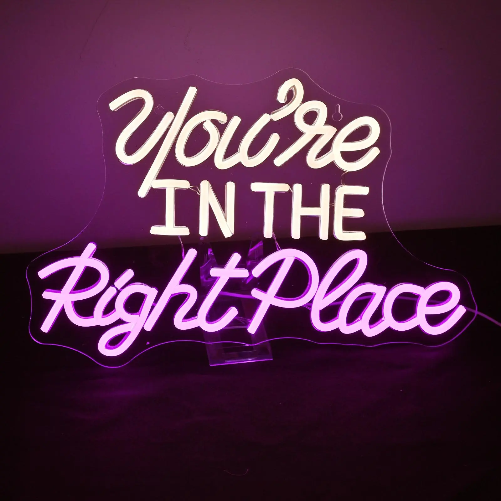 You're in The Right Place Neon Sign, USB Powered LED Illuminated Wall Hanging Neon Light, Led Neon Lights, Decorative Light for Home, Shop, Coffee Shop, Game Room, Led Signs, Home Decor Lighting