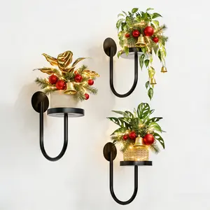 Bamworld 3pcs Wall Plant Holder Wall Planters for Indoor Plants Plant Hanger Indoor Wall Planter Window Plant Shelves Hanging Plant Holder Window Plant Hanger Plant Decor Black room decor for girls Flower Pots Garden Accessories