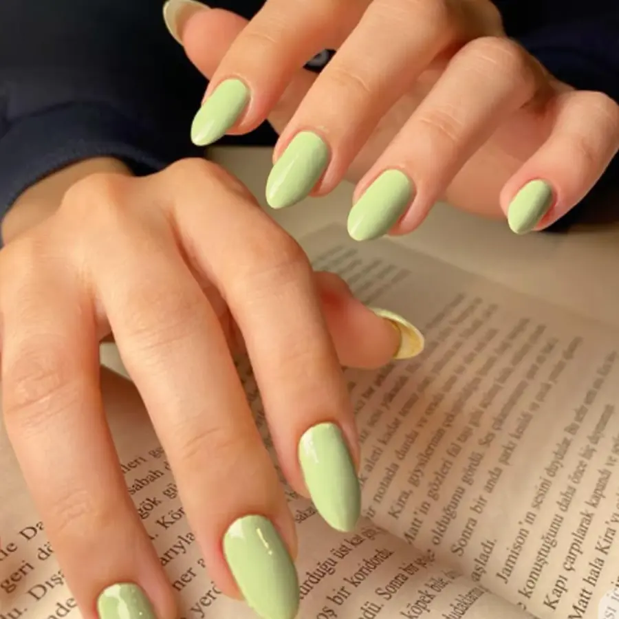 Pastel Green