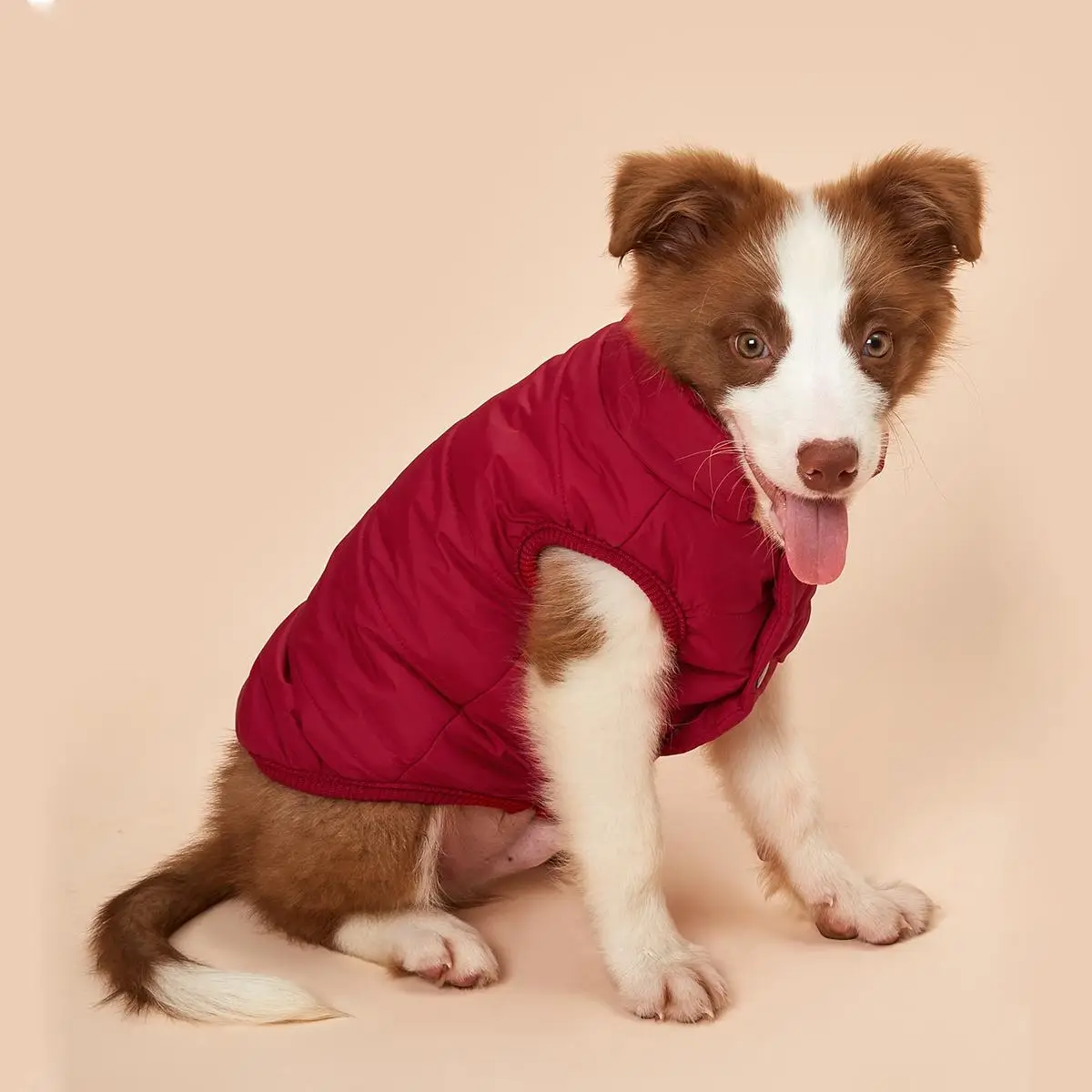 Fleeced Lined Dog Coat, Winter Warm Jacket with Buttons for Small Medium Large Dogs, Windproof Puppy Dog Winter Vest, Pet Cold Weather Clothes