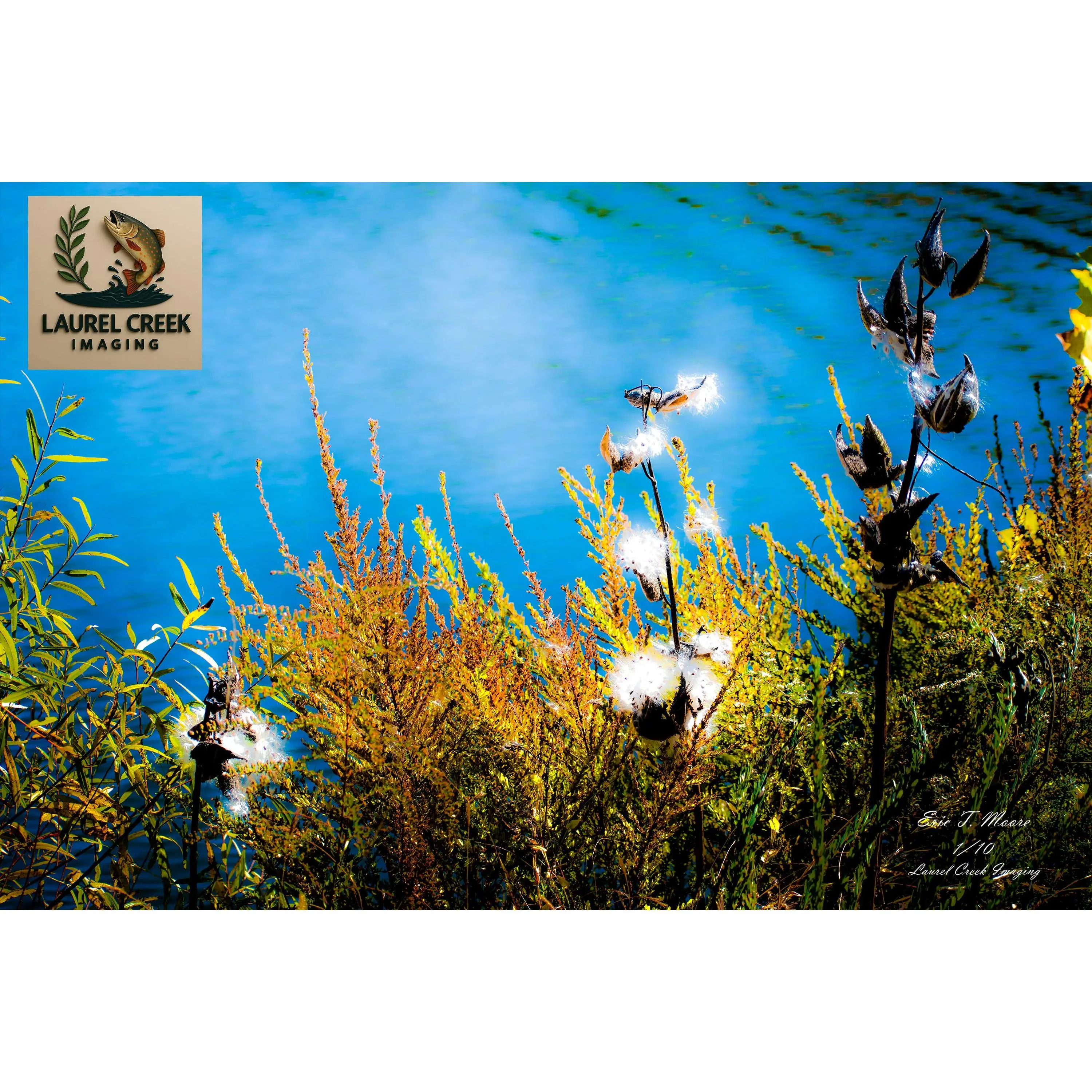 Downfeather Drift at Warden – Limited Edition Framed Fine Art Print (16x24") /10