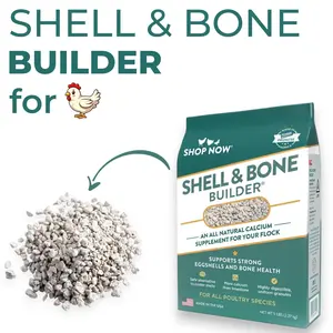 Natural Calcium Supplement for Laying Hens – Coarse Shell & Bone Builder for Strong Eggshells, 5 lb