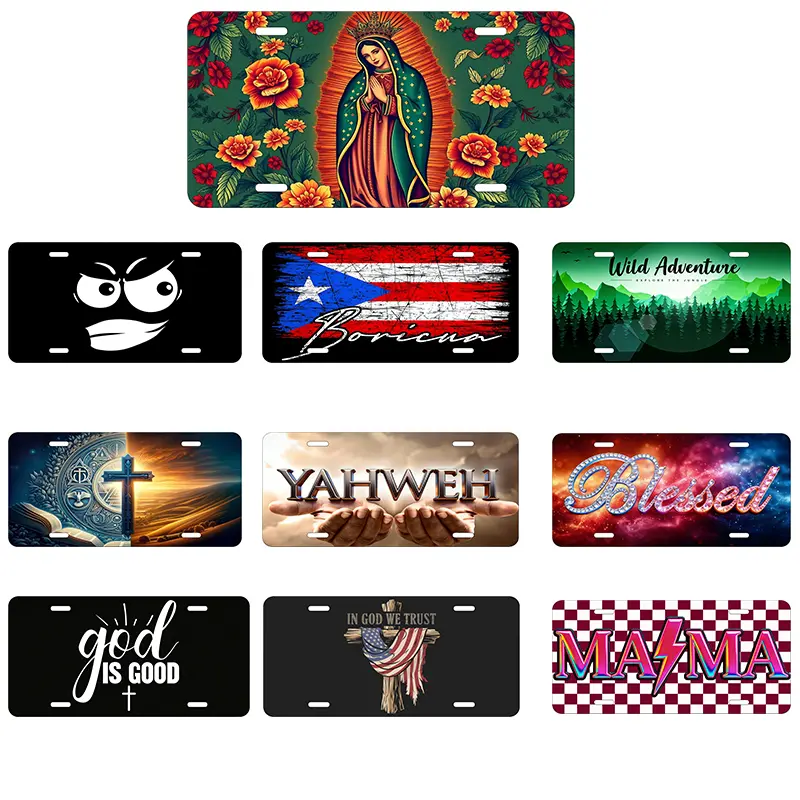 Virgin Mary Decorative front license plate.License Plate.front license plate.front license plate women.Decorated license plate.6x12 with 4 Holes