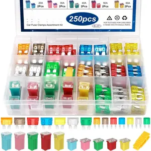 250 Pieces Car Fuse Assortment Set 5A 7.5A 10A 15A 20A 25A 30A Standard and Mini Car Blade Fuses 20A 30A 40A 50A 60A Low High/Standard Type Boxed Car Fuses