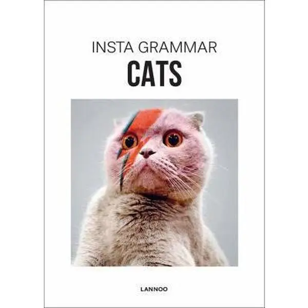 USED-Insta Grammar: Cats by I. Schampaert (Paperback)