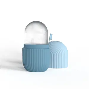 Portable Face Ice Roller, Face Massage Ice Mold, Face Massage Tool, Skin Care Tool for Women & Men, Facial Skin Care Product, Facial Care Tools