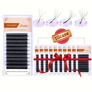 Mixed Length Individual Lashes Clusters False Eyelashes Kit, 10 Boxes Natural Look Eyelash Extensions, Self Grafting Curl Eyelashes, Eye Makeup Enhancement Tool for Women, Cosmetic