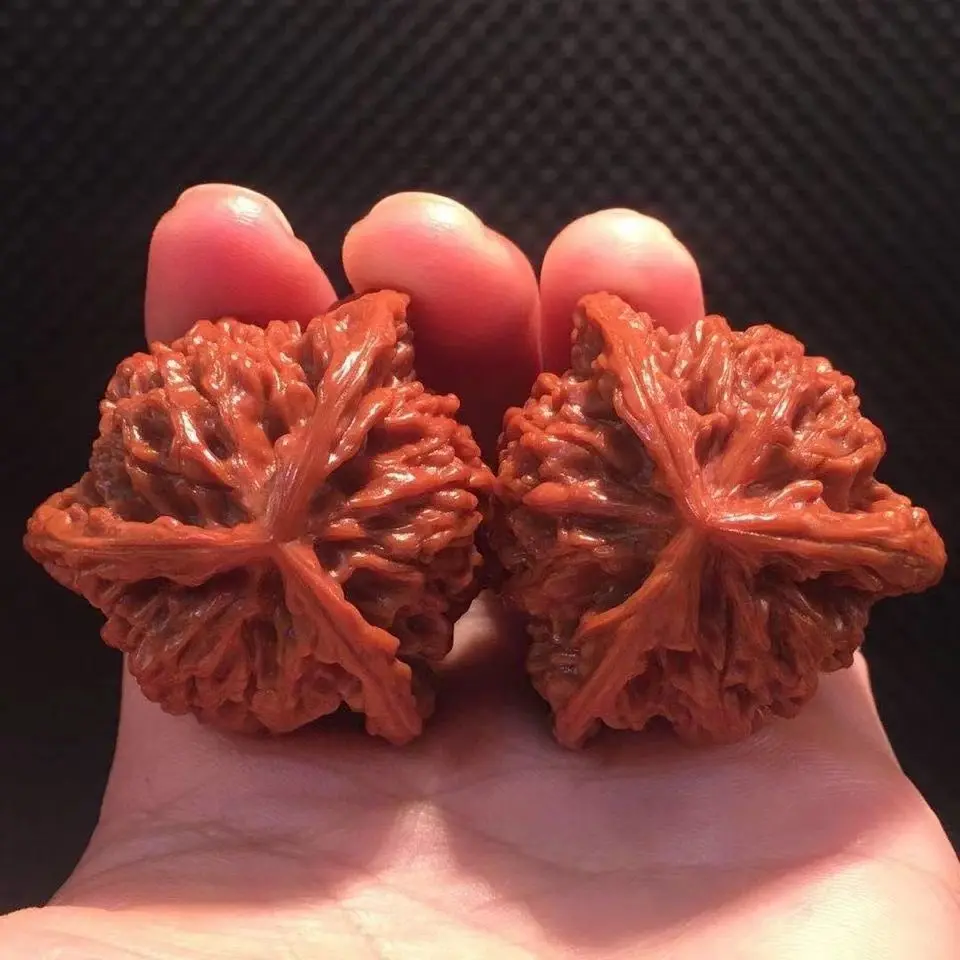 Wild Three-Sided Walnut 3.8-3.9mm Pair