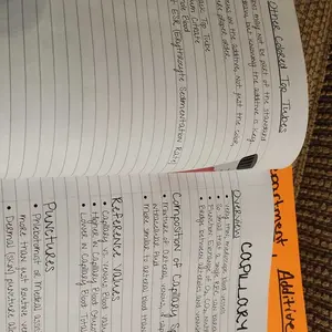 review image 5