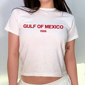 Gulf Of Mexico Y2K Baby Tee Shirt American Gulf Of Mexico Shirt American Pride Tee 90s Aesthetic Shirt Trendy Graphic Shirt Gift For Her