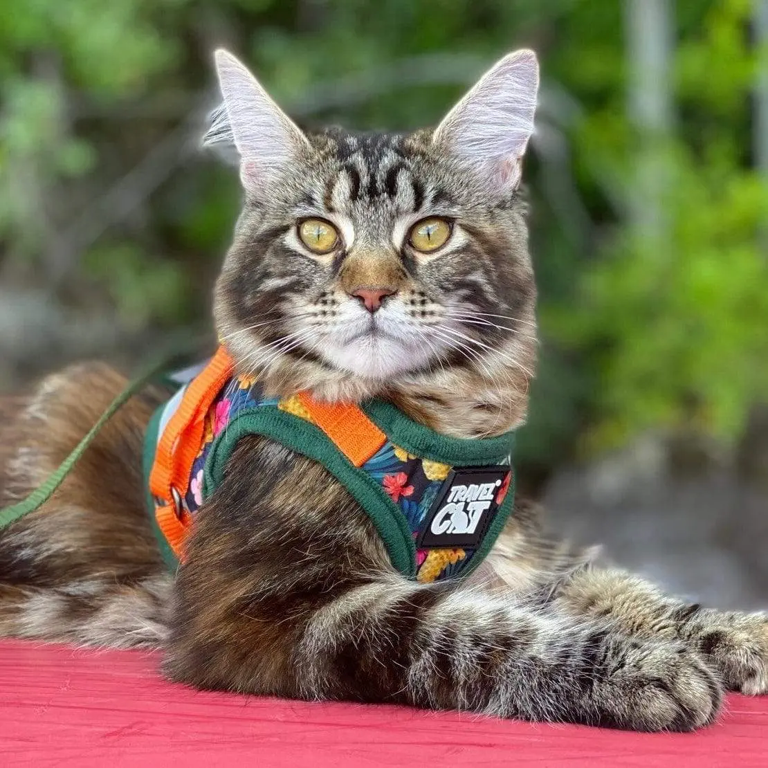 "The Hawaiian Shirt" Limited-Edition Cat Harness & Leash Set pink harness  harness