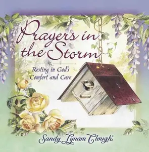USED-Prayers in the Storm: Resting in God's Comfort and Care by Sandy Lynam Clough (Hardcover)
