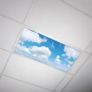 Fluorescent Light Cover - Cloud 008