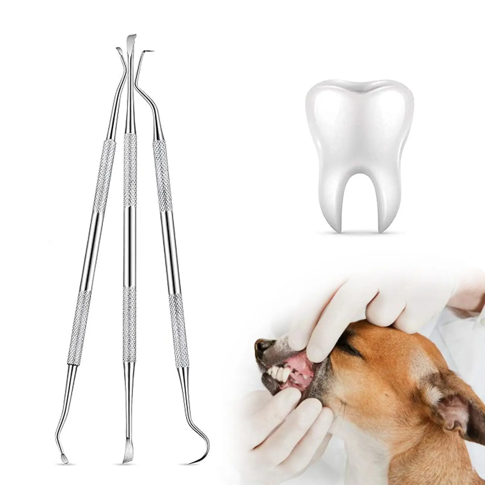 Stainless Steel Pet Tooth Cleaning Kit, 3 Counts/set Pet Tooth Scaler and Scraper,  Tartar Removal Remover  for Dogs & Cats, Pet Dental Care Products