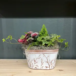 Mixed Tropical Plants Planter White Pot