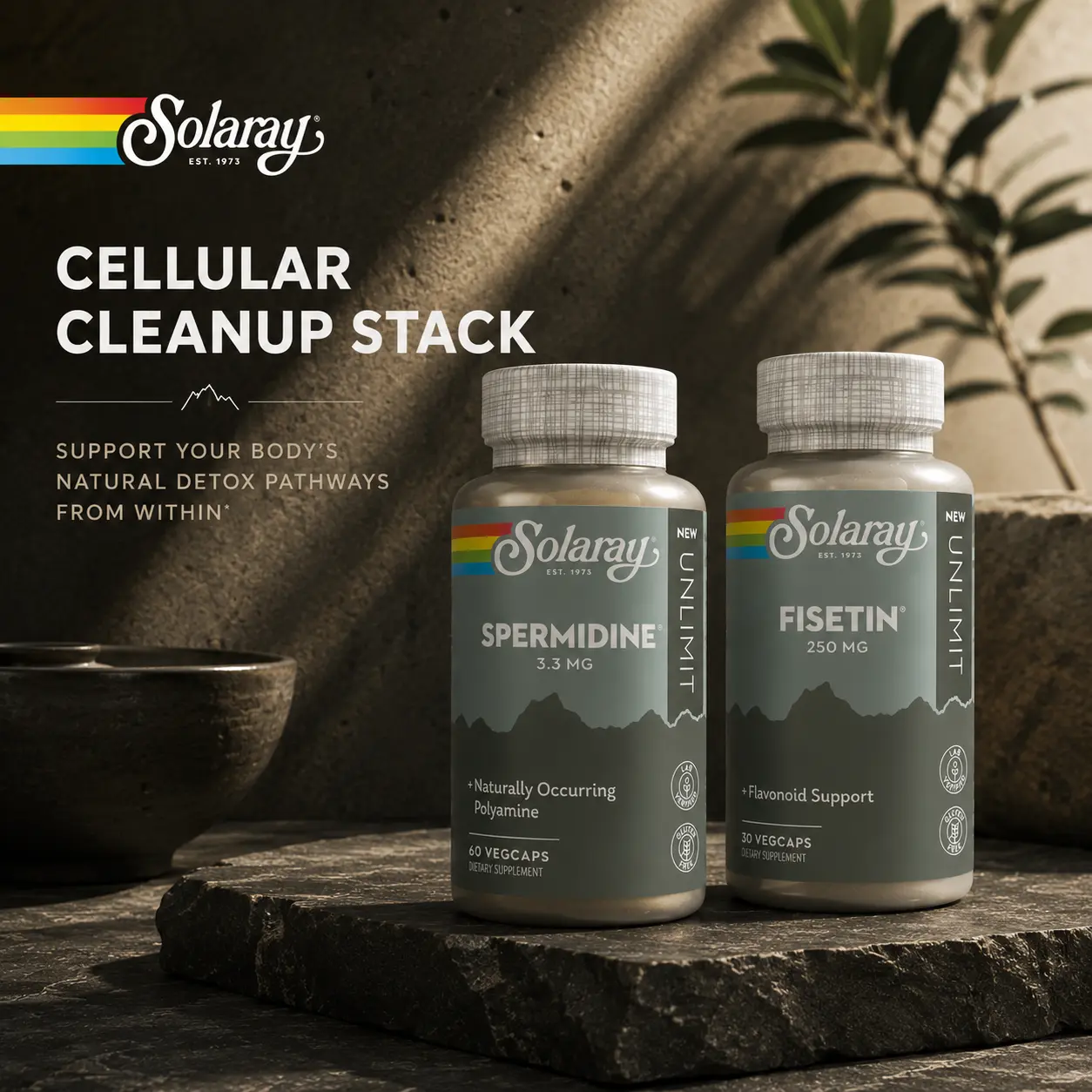 Solaray Cellular Cleanup Stack – Spermidine 3.3mg + Fisetin 250mg Bundle – Cellular Wellness, Antioxidant & Healthy Aging Support