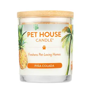 Pina Colada Candle Pina Colada Candle