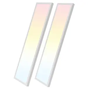 HOLDWILL 1X4FT Led Flat Panel Light, 5CCT 3K/4K/4.5K/5.2K/6K Surface Mount Ceiling Light,Dimmable 5 Wattage Adjustable Edge-Lit for Office,Shop