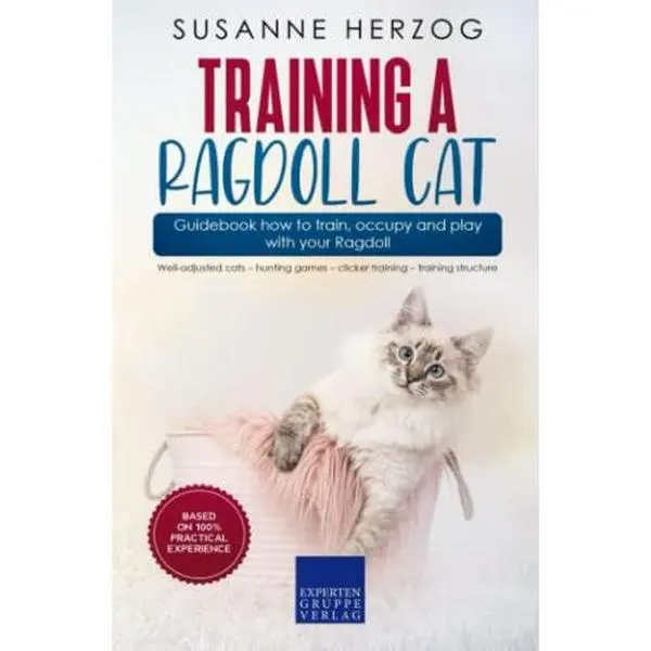 USED-Training a Ragdoll Cat – Guidebook how to train, occupy and play with your Ragdoll: Well-adjusted cats – hunting games – clicker training – training structure by Susanne Herzog (Paperback)