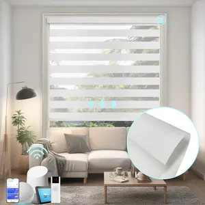 Motorized Zebra Blinds 20"-56" width, White Light Filter Fabric,  Remote controlled blinds for Windows,Cordless Auto Horizontal Curtains for Living Room, Kicthen, Kids Room