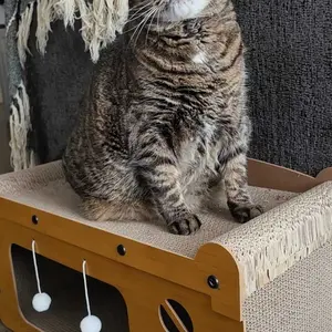 [MeynnPet] Modern 2-Tier Wooden Double Layer Bed for Multiple Cats - Versatile 45*28*51cm Scratching Post & Cozy Combo with Toy Ball, Easy to Assemble Multi-Functional Pet Furniture
