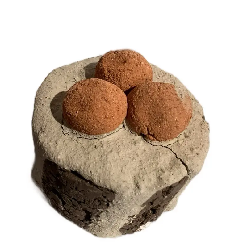 D-CRUJIDOS Nevado Clay Figure with Kaolin Made in Mexico Authentic Handcrafted Artisanal