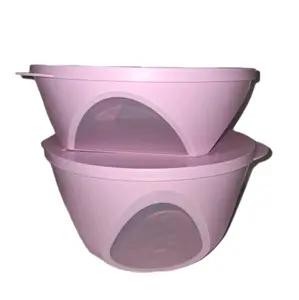 Vision Bowl Set PINK -